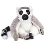 Ring Tailed Lemur Adoption Packages